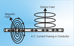 EMF Field